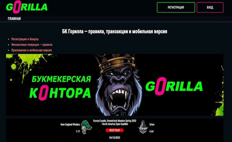 Обзор БК Gorilla