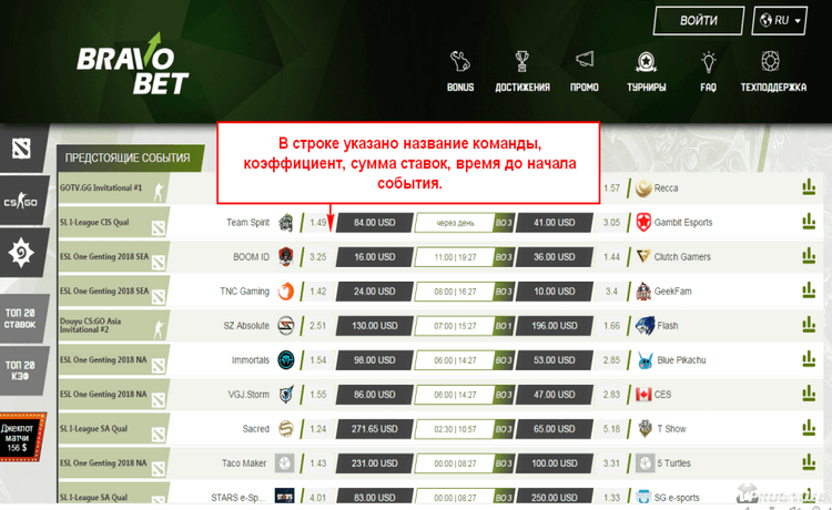 Обзор БК Bravobet